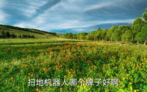 機(jī)器人商品,可選擇石頭機(jī)器人或美國(guó)松下電子產(chǎn)品質(zhì)量保障