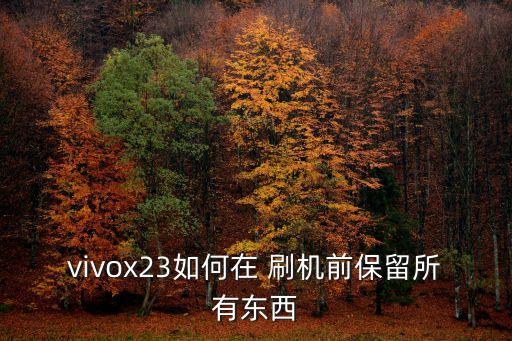 手機刷機如何保存數(shù)據(jù),vivo手機刷機可以保存數(shù)據(jù)嗎