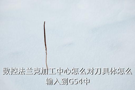 數(shù)控法蘭克加工中心怎么對(duì)刀具體怎么輸入到G54中