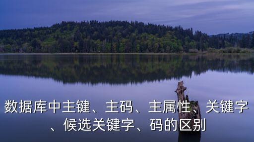 數(shù)據(jù)庫中主鍵、主碼、主屬性、關(guān)鍵字、候選關(guān)鍵字、碼的區(qū)別