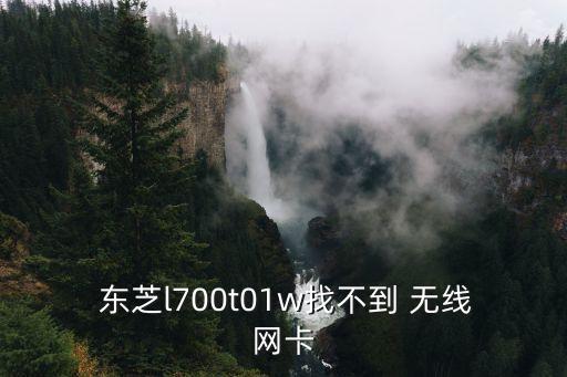  東芝l700t01w找不到 無線網(wǎng)卡