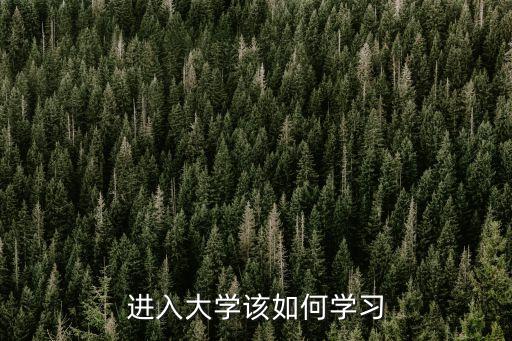 進入大學(xué)該如何學(xué)習