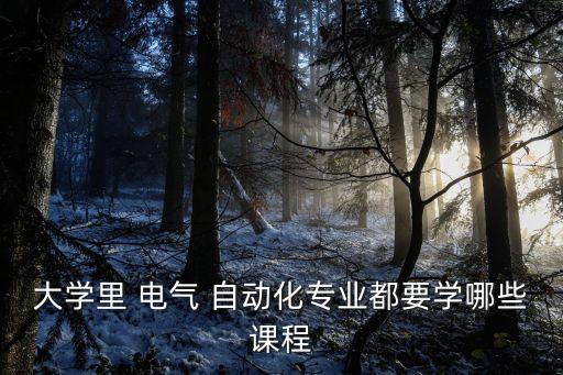 大學(xué)里 電氣 自動化專業(yè)都要學(xué)哪些課程