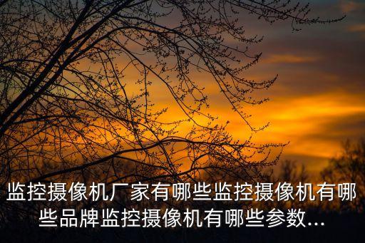 河北攝像頭自動(dòng)化設(shè)備公司,邯鄲自動(dòng)化公司是什么?