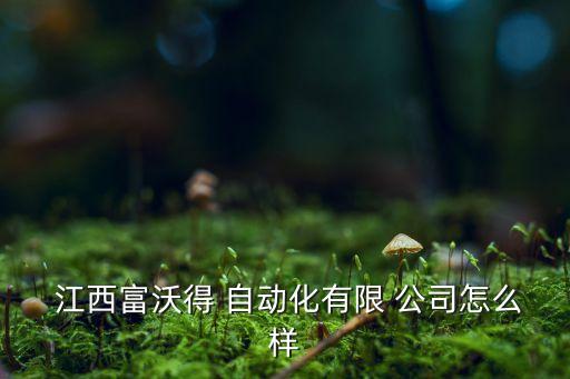  江西富沃得 自動化有限 公司怎么樣