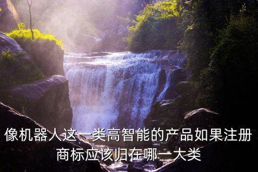 像機器人這一類高智能的產品如果注冊商標應該歸在哪一大類