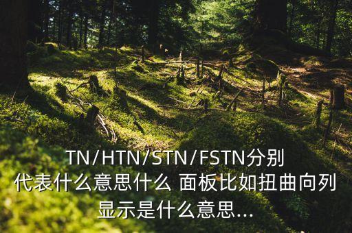 TN/HTN/STN/FSTN分別代表什么意思什么 面板比如扭曲向列顯示是什么意思...