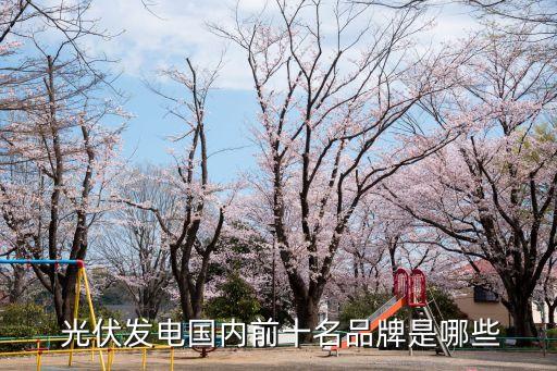  光伏發(fā)電國內(nèi)前十名品牌是哪些