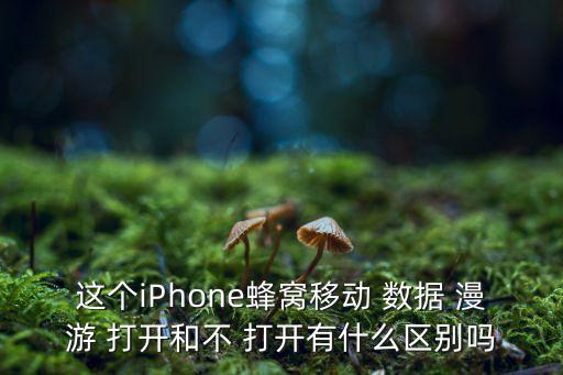 這個(gè)iPhone蜂窩移動(dòng) 數(shù)據(jù) 漫游 打開和不 打開有什么區(qū)別嗎