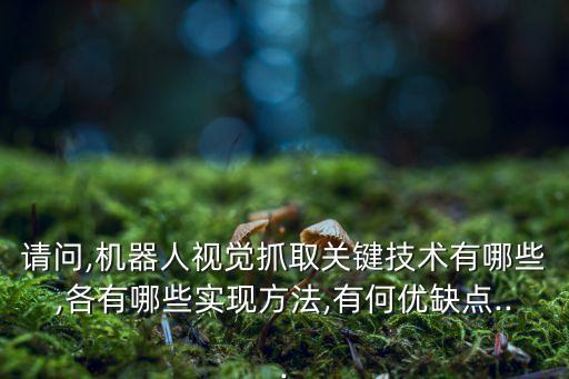 請(qǐng)問,機(jī)器人視覺抓取關(guān)鍵技術(shù)有哪些,各有哪些實(shí)現(xiàn)方法,有何優(yōu)缺點(diǎn)...