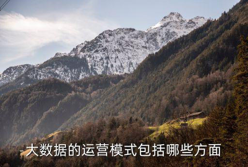 大數(shù)據(jù)智能運(yùn)營(yíng)管理,大數(shù)據(jù)智能營(yíng)銷系統(tǒng)是什么?