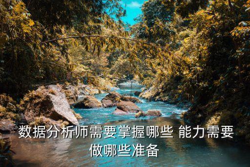  數(shù)據(jù)分析師需要掌握哪些 能力需要做哪些準(zhǔn)備