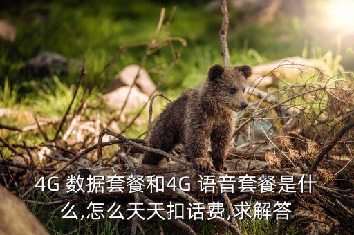 4G 數(shù)據(jù)套餐和4G 語音套餐是什么,怎么天天扣話費,求解答