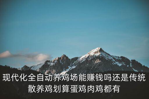 現(xiàn)代化全自動養(yǎng)雞場能賺錢嗎還是傳統(tǒng)散養(yǎng)雞劃算蛋雞肉雞都有