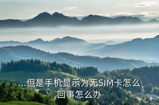 ...但是手機(jī)顯示為無(wú)SIM卡怎么回事怎么辦
