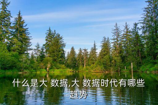 什么是大 數(shù)據(jù),大 數(shù)據(jù)時代有哪些趨勢