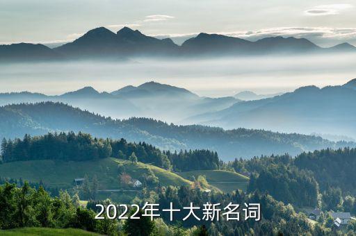2022年十大新名詞