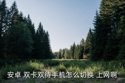 安卓 雙卡雙待手機(jī)怎么切換 上網(wǎng)啊