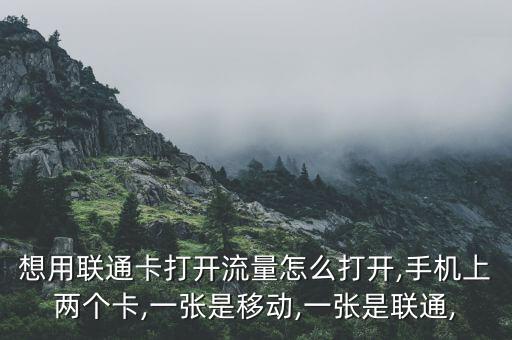 聯(lián)通怎么開啟移動數(shù)據(jù)流量,想用聯(lián)通卡打開網絡流量怎么辦?