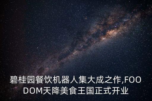 南陽機器人餐廳,餐廳機器人有何用處?