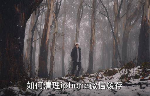 蘋果手機(jī)微信數(shù)據(jù)清理,微信垃圾緩存?怎么清理?