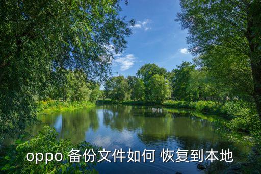 oppo 備份文件如何 恢復到本地