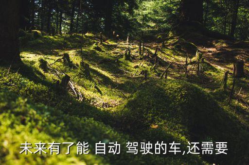 自制自動駕駛汽車,有自動駕駛功能的汽車有哪些