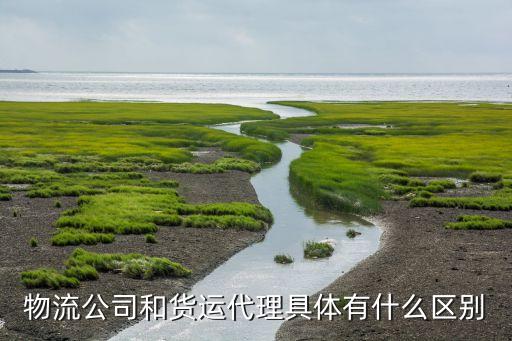 貨代是什么意思,貨代是什么意思?貨運跟做大貨有什么不同?