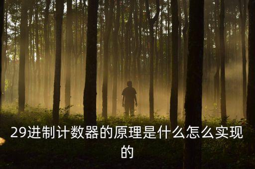 29進制計數(shù)器的原理是什么怎么實現(xiàn)的