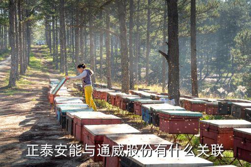 通威自動化集團公司,通廣建設(shè)和通威集團的關(guān)系是什么?