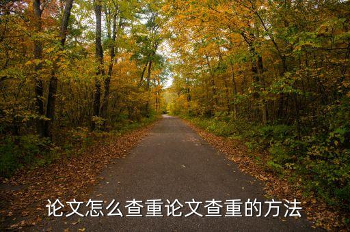 論文怎么查重論文查重的方法