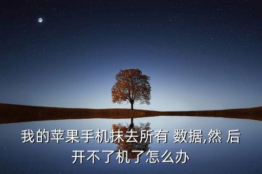 iphone抹除數(shù)據(jù)后開(kāi)不了,iPhone被抹除數(shù)據(jù)后怎么恢復(fù)