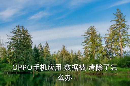 OPPO手機(jī)應(yīng)用 數(shù)據(jù)被 清除了怎么辦