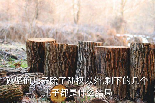 孫堅(jiān)的兒子除了孫權(quán)以外,剩下的幾個(gè)兒子都是什么結(jié)局