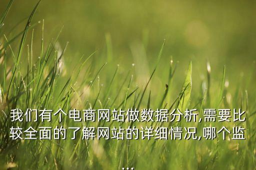 我們有個(gè)電商網(wǎng)站做數(shù)據(jù)分析,需要比較全面的了解網(wǎng)站的詳細(xì)情況,哪個(gè)監(jiān)...