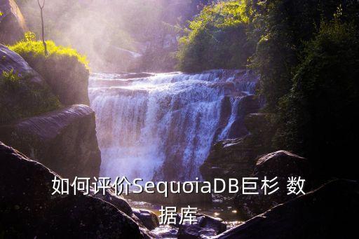 如何評(píng)價(jià)SequoiaDB巨杉 數(shù)據(jù)庫(kù)
