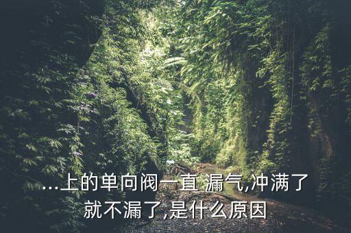 ...上的單向閥一直 漏氣,沖滿了就不漏了,是什么原因