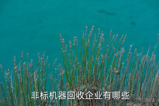  非標機器回收企業(yè)有哪些