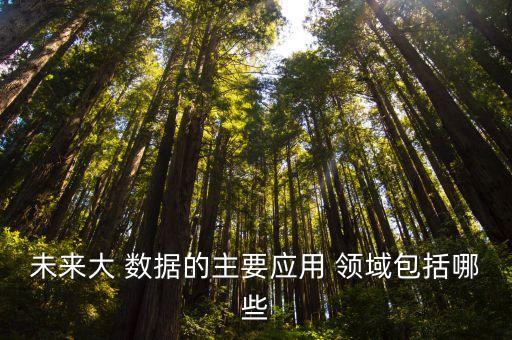 未來大 數(shù)據(jù)的主要應(yīng)用 領(lǐng)域包括哪些