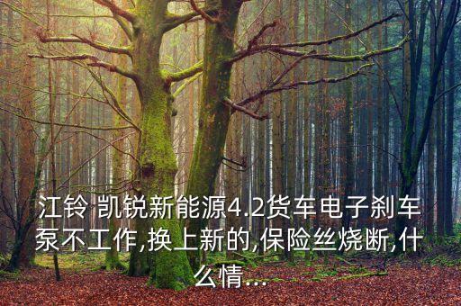 江鈴 凱銳新能源4.2貨車電子剎車泵不工作,換上新的,保險絲燒斷,什么情...