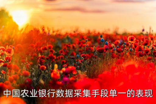 中國農業(yè)銀行數(shù)據(jù)采集手段單一的表現(xiàn)