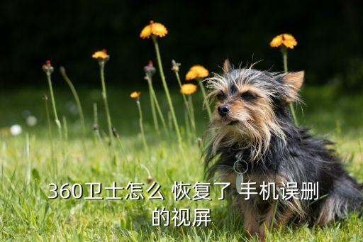  360衛(wèi)士怎么 恢復(fù)了 手機(jī)誤刪的視屏