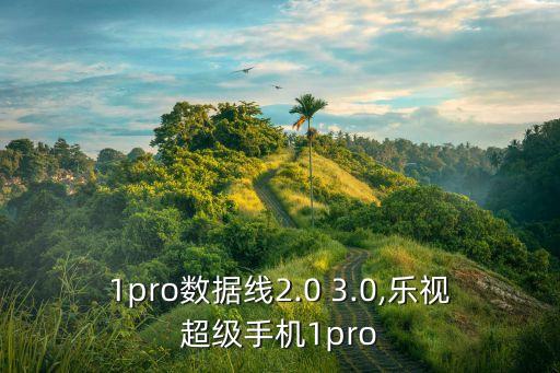 1pro數(shù)據(jù)線2.0 3.0,樂視超級手機(jī)1pro