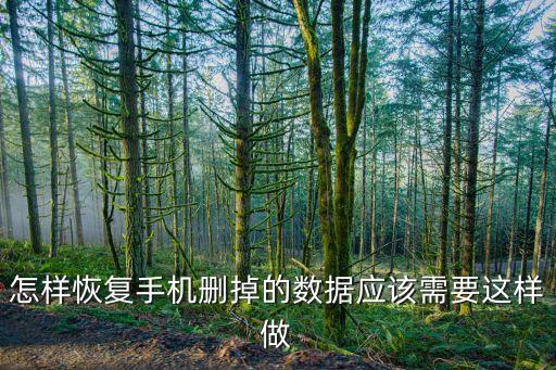 怎樣恢復手機刪掉的數(shù)據(jù)應該需要這樣做