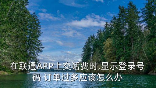 中國聯(lián)通 訂單數(shù)據(jù)有誤