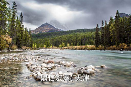 鼎信宏泰( 天津