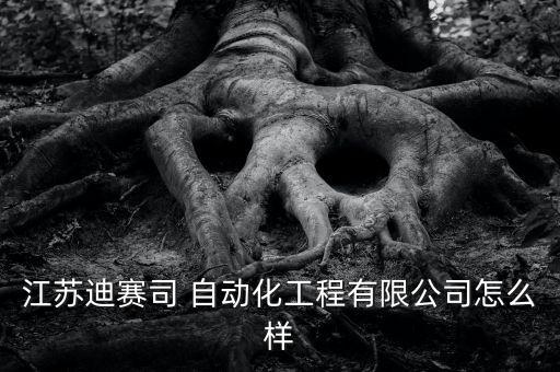 江蘇迪賽司 自動(dòng)化工程有限公司怎么樣