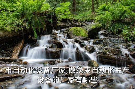 巢湖市自動化設(shè)備廠家,做線束自動化生產(chǎn)設(shè)備的廠家有哪些?