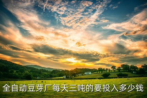 全自動(dòng)豆芽廠每天三噸的要投入多少錢