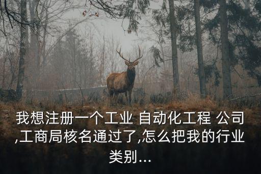 我想注冊一個工業(yè) 自動化工程 公司,工商局核名通過了,怎么把我的行業(yè)類別...